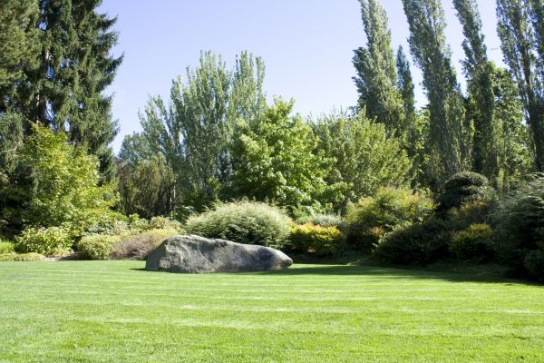 Yard Enlargement in Chandler