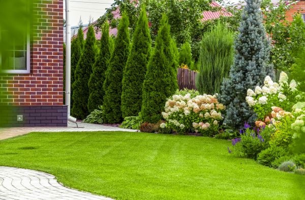 Spring Landscaping in Chandler