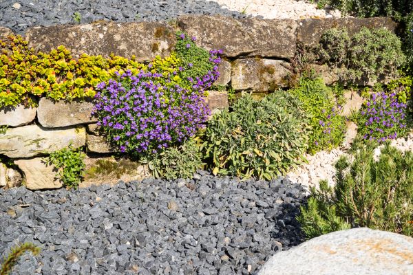 Landscaping Rocks Installation in Chandler