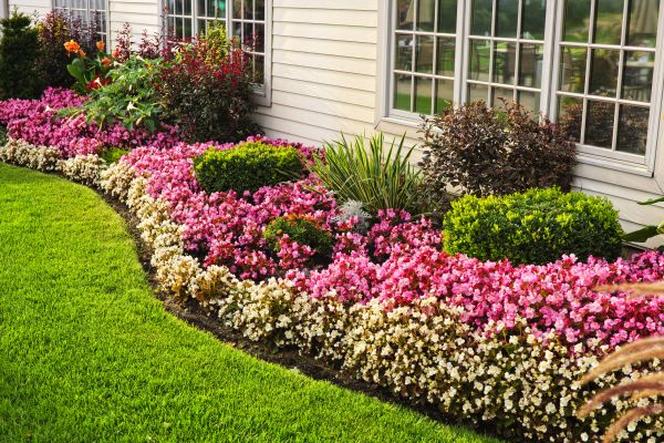 Garden Landscape Design in Chandler