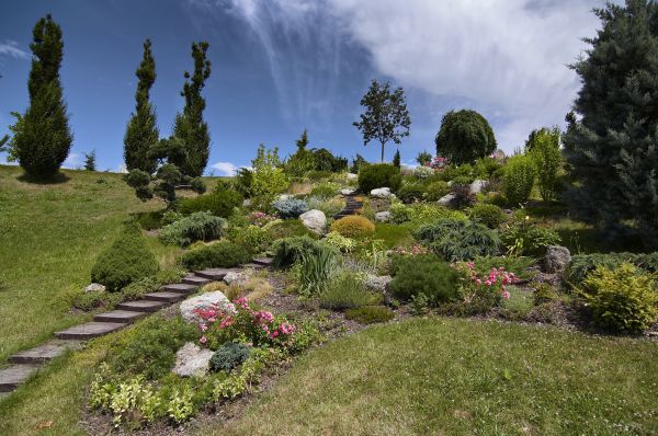 Steep Terrain Landscaping in Chandler