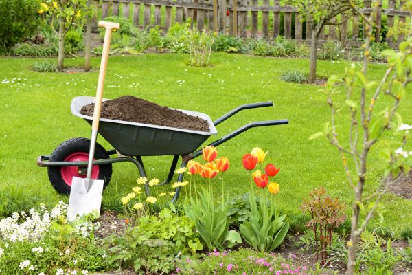 Spring Yard Renovation in Chandler