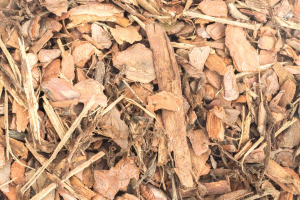 Bark Mulch Installation in Chandler