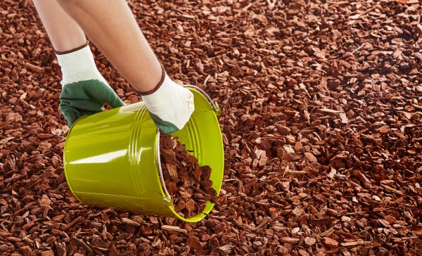 Wood Chip Landscaping in Chandler