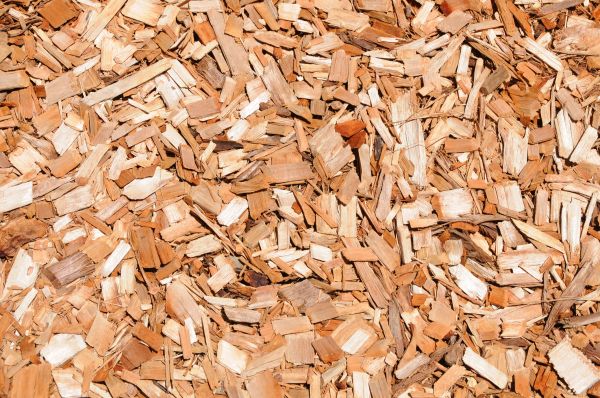 Cypress Mulch Spreading in Chandler