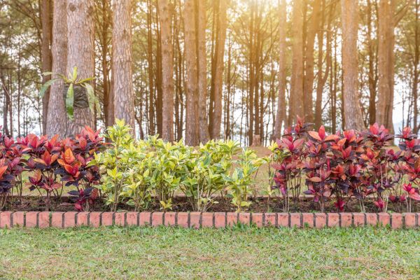 Small Garden Landscaping in Chandler