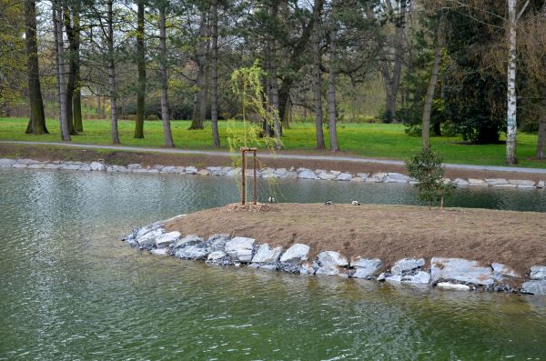 Pond Landscaping Service in Chandler