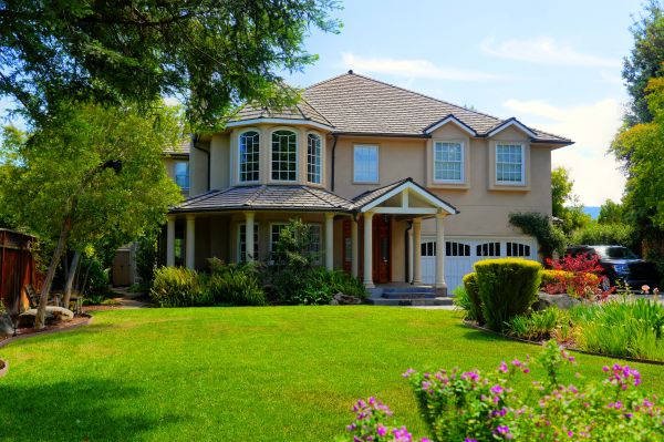 Large Yard Landscaping in Chandler