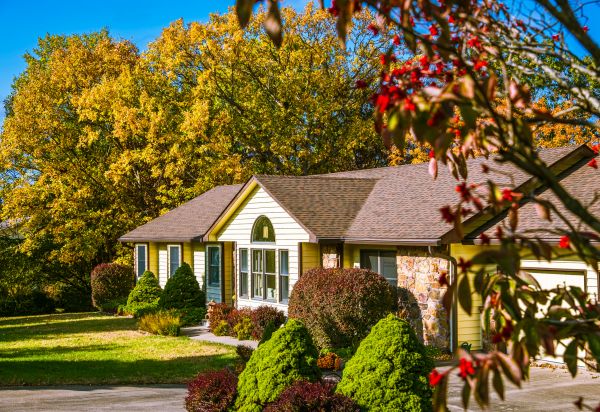 Ranch Landscaping in Chandler