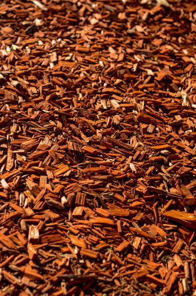 Cedar Mulch Spreading in Chandler