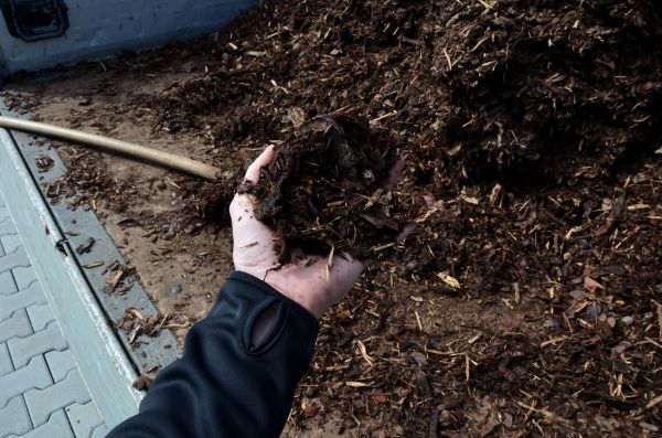 Condo Mulching in Chandler