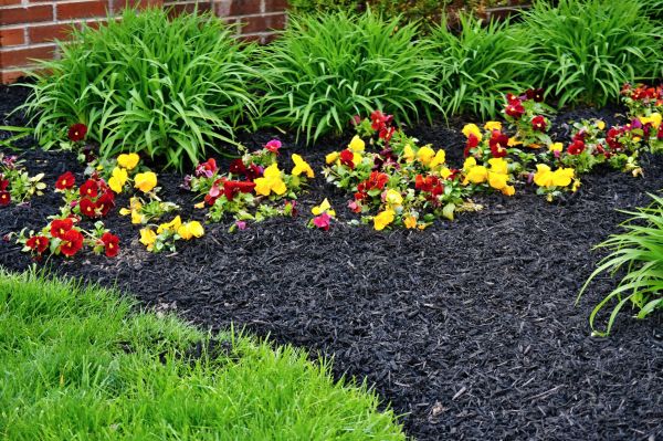Apartment Mulching in Chandler